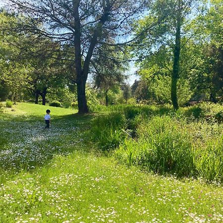 Les Restanques Vue Mer Roses 1070 Rez De Jardin Grimaud Eksteriør bilde