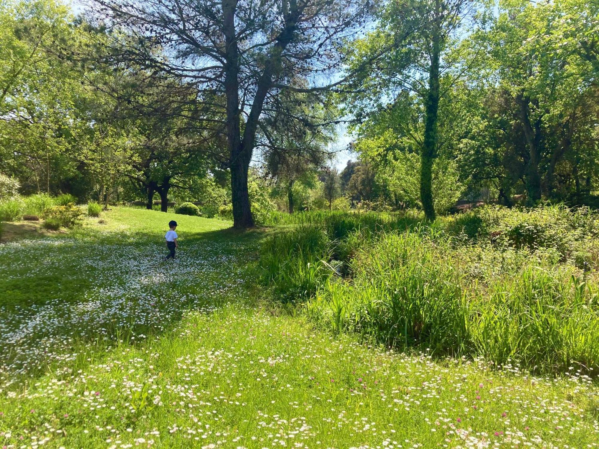 Les Restanques Vue Mer Roses 1070 Rez De Jardin Grimaud Eksteriør bilde